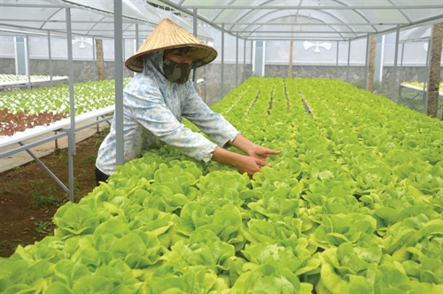 Food enterprises get a legal boost