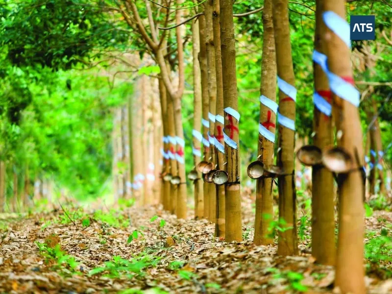giá đền bù đất nông nghiệp mới nhất